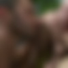 [LucasRaunch.com/LucasEntertainment.com] Stretch My Hole, Sc.3: Vito Gallo Stretches Jesse Santana's Ass Open [2013, Anal/Oral, Big Dicks, Cumshots, Fingering, Gaping, Kissing, Masturbation, Muscles, Outdoors, Piersing, Rimming, Tattoos, 720p] thumb