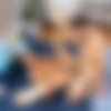 [SeanCody.com] SC-2621 Blake & Cam: Bareback [2019 ., Anal Sex, Bareback, Big Dicks, Blowjob, Cumshots, Flip-Flop, Kissing, Masturbation, Muscles, Rimming, Tattoos., 720p] thumb