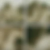 Gourmet Video.2013–2014.GVC Double Feature 3–5.PACK.480p-VERIFIED thumbnail