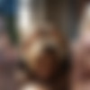 AI generated Porn Music Video / ,  .  2 [2025 ., AI generated, Compilation, Music, Hardcore, Big Dick, Blowjob, Facial, Teen, BabyFace, Anal, 1080p] thumbnail