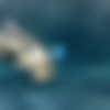 [SexUnderWater.com] Full SiteRip 2018 [2018, 104 , 12909 , 704x480 - 2400x1800] thumbnail