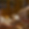 [WowGirls.com] Alice Kiss - Passion Anytime [2025 ., All Sex, Hardcore, Natural Tits, Straight, Couples, Cumshot, Cum In Mouth, Outdoors, 1080p] thumb