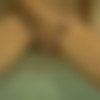 [ATKGirlfriends.com] Alice March (Las Vegas 1/3) [2015 ., Orgasm, Masturbation, POV, 1080p] thumb
