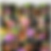 [Peesquad.com / Tainster.com] Bibi Fox - Bibi Fox on the Run [540p/03.06.2015 ., Outdoors, Stockings, High Heels, Anal, Blouses, Bukkake, Gangbang, Party Sex, Pissing, Hardcore ] thumbnail