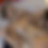 [TadpoleXStudio] Anastasia Rose - Balloon Popping Gangbang With Anal Creampie (PARTS 1 AND 2) - 2025-03-18 - 1080p thumb